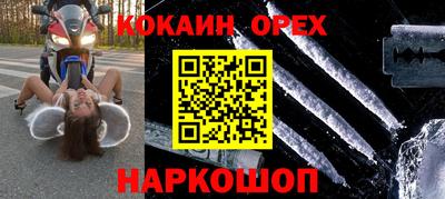 крисы Кулебаки