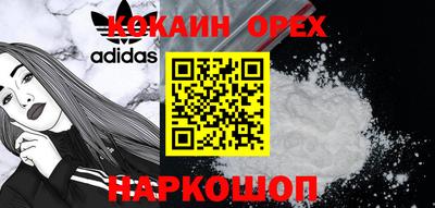 крисы Кулебаки