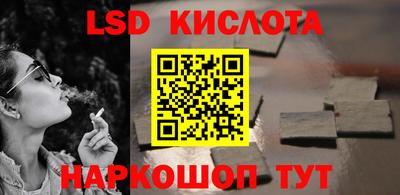 крисы Кулебаки