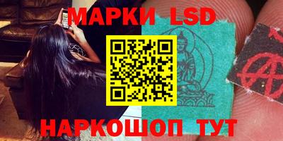 крисы Кулебаки