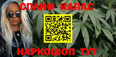крисы Кулебаки