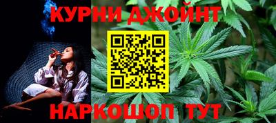крисы Кулебаки